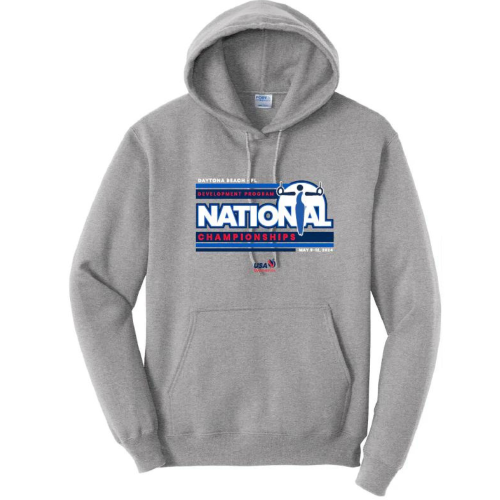 development champs daytona beach grey hoodie